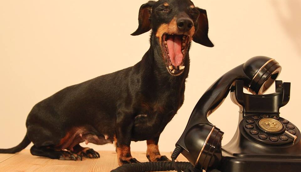 Telefonische Infostunde